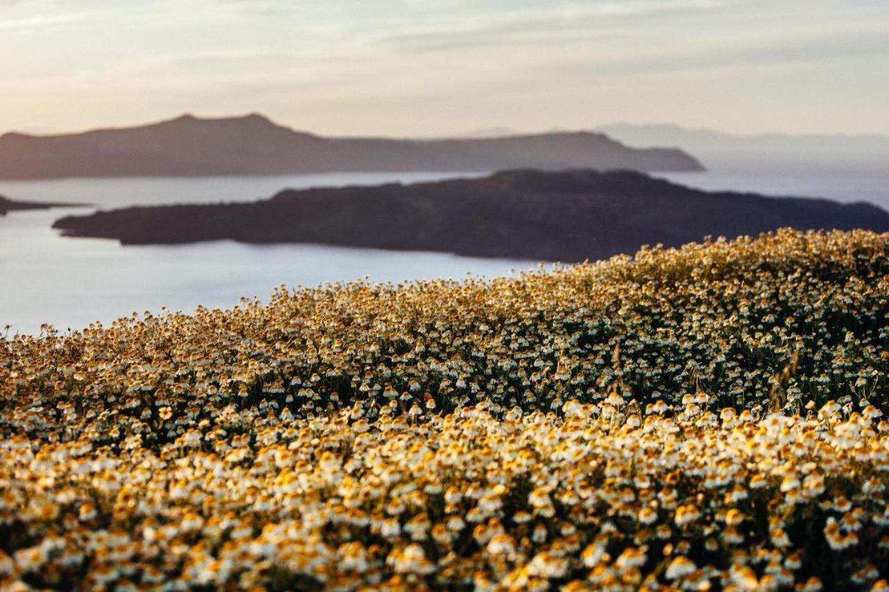 Arcana Santorini Villas, An Authentic Cycladic Experience Akrotírion Eksteriør bilde