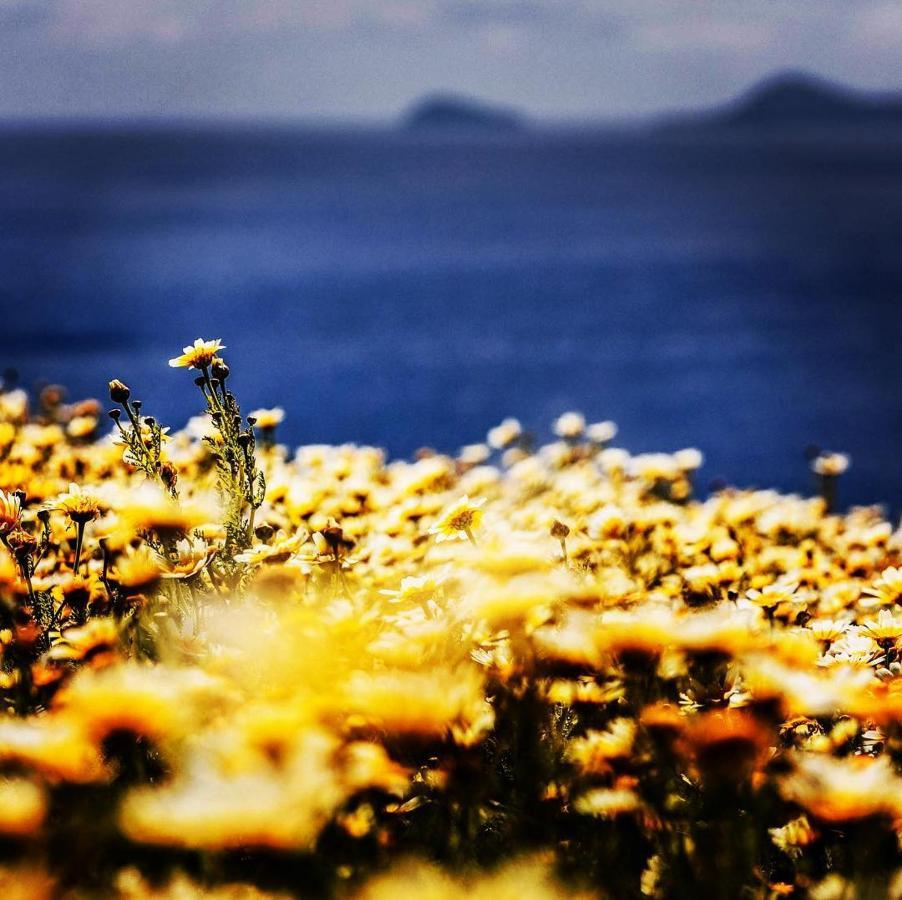 Arcana Santorini Villas, An Authentic Cycladic Experience Akrotírion Eksteriør bilde