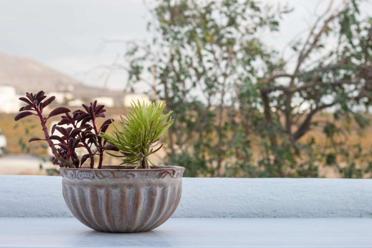Arcana Santorini Villas, An Authentic Cycladic Experience Akrotírion Eksteriør bilde